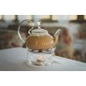 Elegant borosilicate glass teapot with glass infuser and filter
