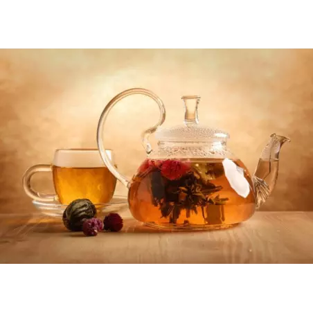 Elégante Théière en verre borosilicate avec infuseur en verre et fi...