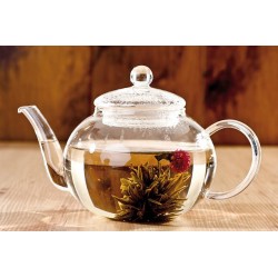 Borosilicate glass teapot with glass infuser and filter