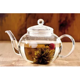 Théière en verre borosilicate avec infuseur en verre et filtre