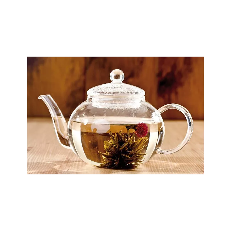 Théière en verre borosilicate avec infuseur en verre et filtre Théière en verre borosilicate avec infuseur en verre et filtre
