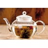 Borosilicate glass teapot with glass infuser and filter