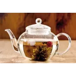 Théière en verre borosilicate avec infuseur en verre et filtre