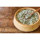 Green Skybury coffee bean from Australia