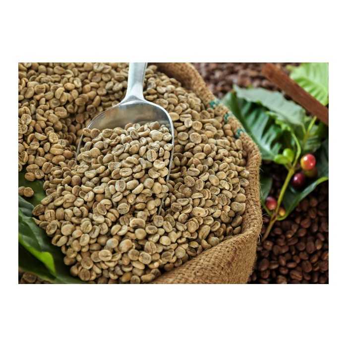 Green Skybury coffee bean from Australia
