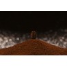 Ground Skybury Coffee From Australia - Direct roaster