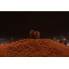 Ground Skybury Coffee From Australia - Direct roaster