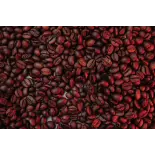 Rare organic Cuzco coffee roasted from Peru - Direct roaster Rare organic Cuzco coffee roasted from Peru - Direct roaster