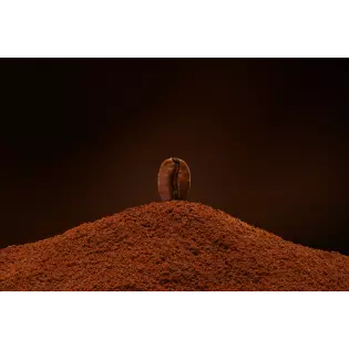 Organic rare ground coffee Cuzco from Peru - Direct roaster