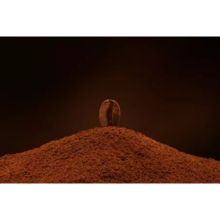 Café rare bio Cuzco Moulu du Pérou - Direct torréfacteur