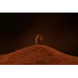 Organic rare ground coffee Cuzco from Peru - Direct roaster Organic rare ground coffee Cuzco from Peru - Direct roaster