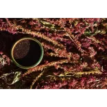 Organic Black Amaranth Seeds from France - Direct producer
