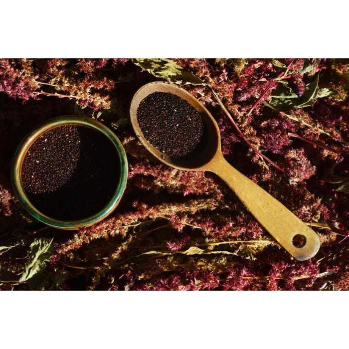 Graines d'Amarante Noires Bio de France - Direct producteur