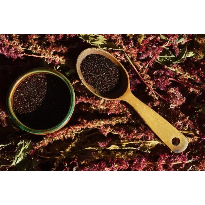 Organic Black Amaranth Seeds from France - Direct producer