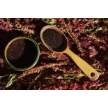 Organic Black Amaranth Seeds from France - Direct producer