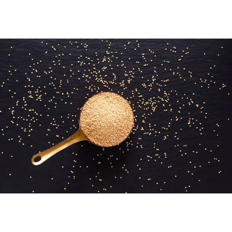 Organic white amaranth seeds from France - Direct producer