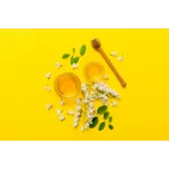 Pur Miel d'acacia bio de France - Direct producteur