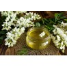 Pure organic acacia honey from France - Direct producer
