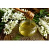 Pure organic acacia honey from France - Direct producer