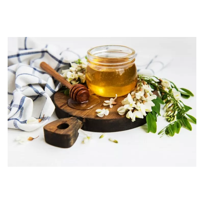 Pur Miel d'acacia bio de France - Direct producteur