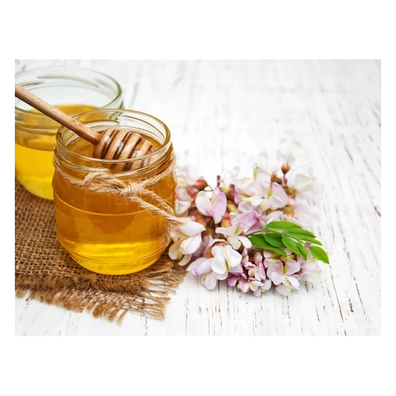 Pur Miel d'acacia bio de France - Direct producteur