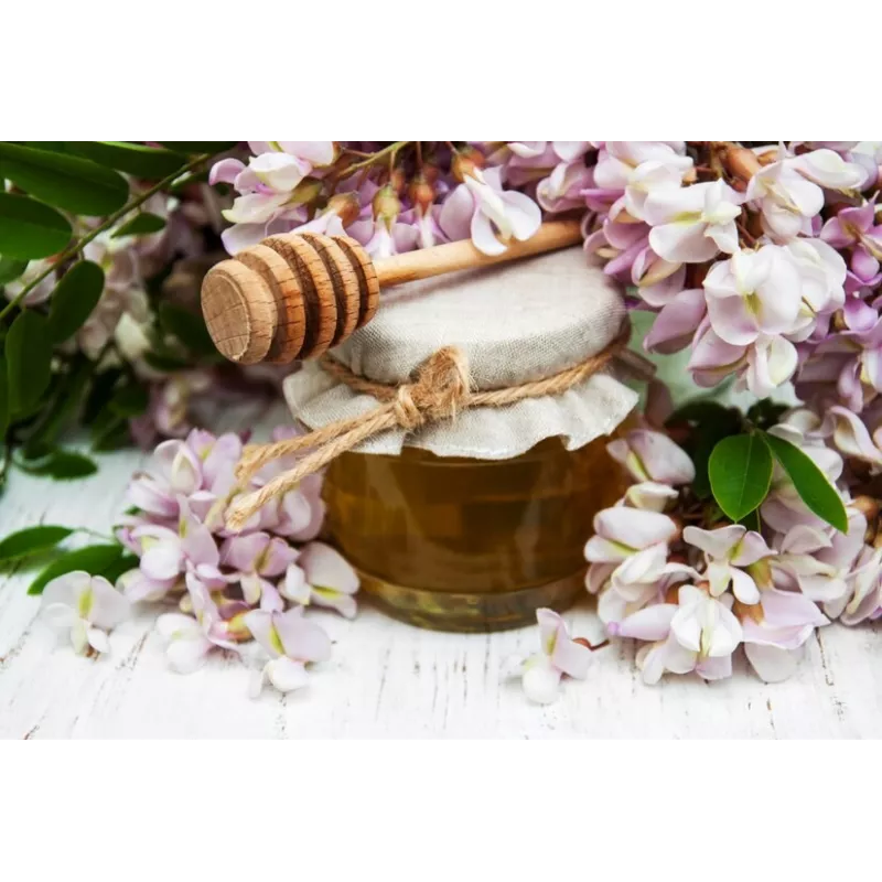 Pur Miel d'acacia bio de France - Direct producteur
