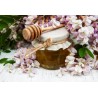 Pure organic acacia honey from France - Direct producer