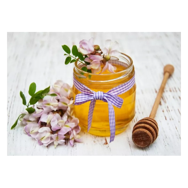 Pur Miel d'acacia bio de France - Direct producteur