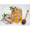 Pure organic acacia honey from France - Direct producer