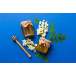Pur Miel d'acacia bio de France - Direct producteur