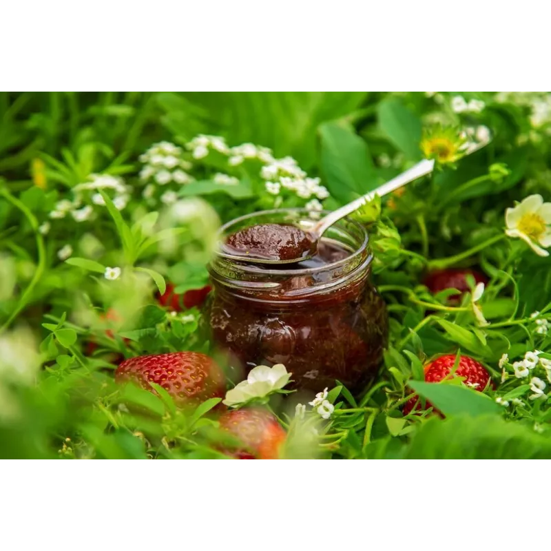 Confiture de Fraises du Gard - Direct producteur