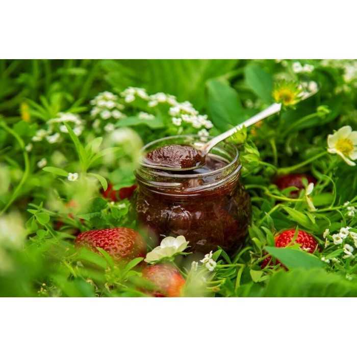 Strawberry jam from Gard - Direct producer