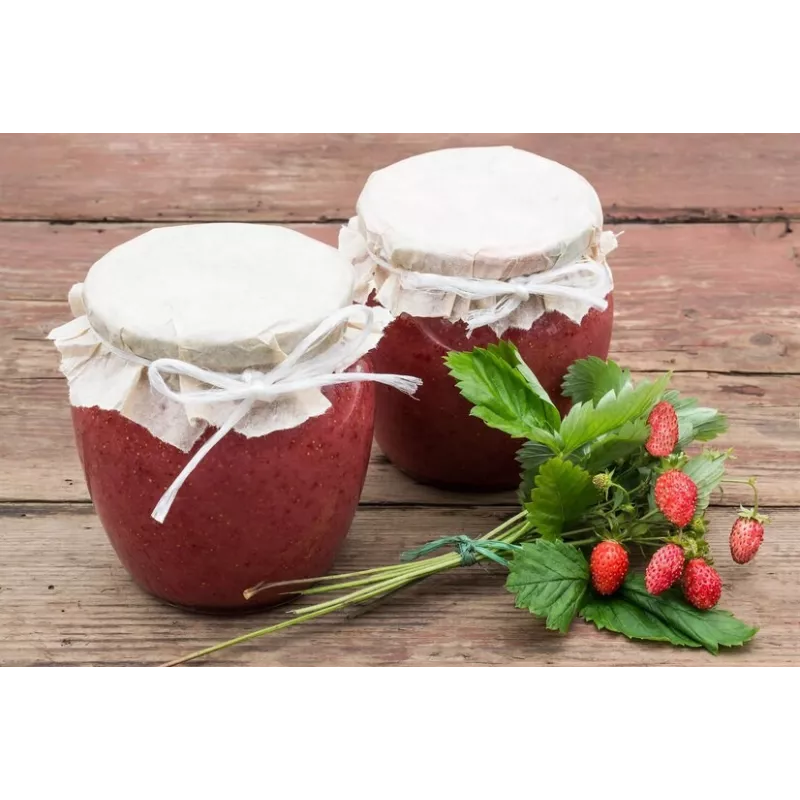 Confiture de Fraises du Gard - Direct producteur