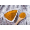 Organic & Fairtrade Pineapple Powder from Uzbekistan