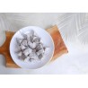 Organic & fairtrade dried white dragon fruit or pitaya from Colombia