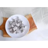 Organic & fairtrade dried white dragon fruit or pitaya from Colombia