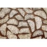 Organic & fairtrade dried white dragon fruit or pitaya from Colombia