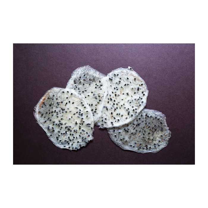 Organic & fairtrade dried white dragon fruit or pitaya from Colombia
