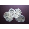 Organic & fairtrade dried white dragon fruit or pitaya from Colombia
