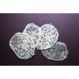 Organic & fairtrade dried white dragon fruit or pitaya from Colombia