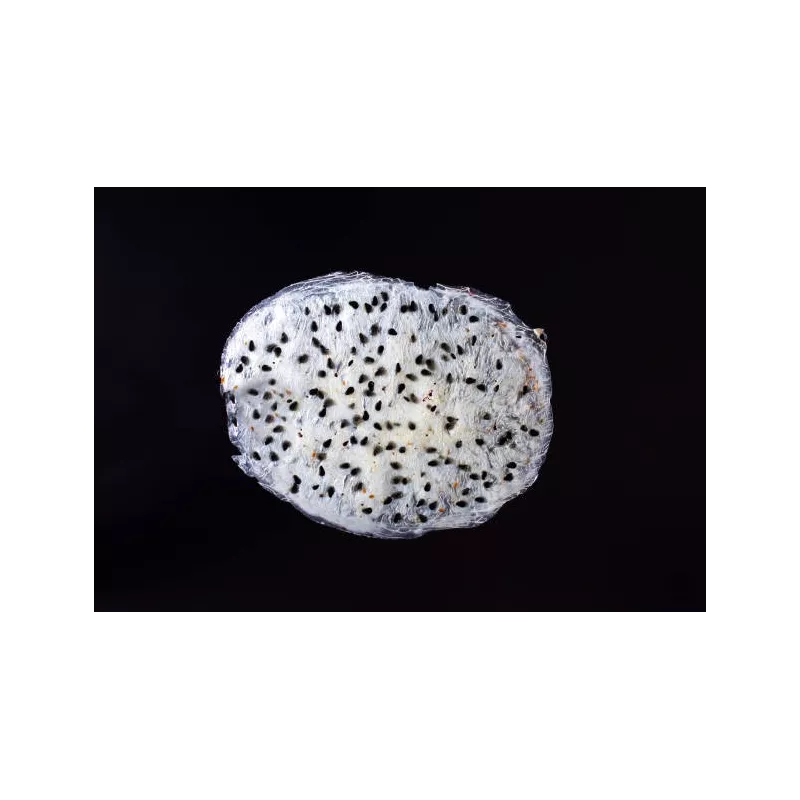 Organic & fairtrade dried white dragon fruit or pitaya from Colombia