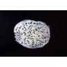 Organic & fairtrade dried white dragon fruit or pitaya from Colombia