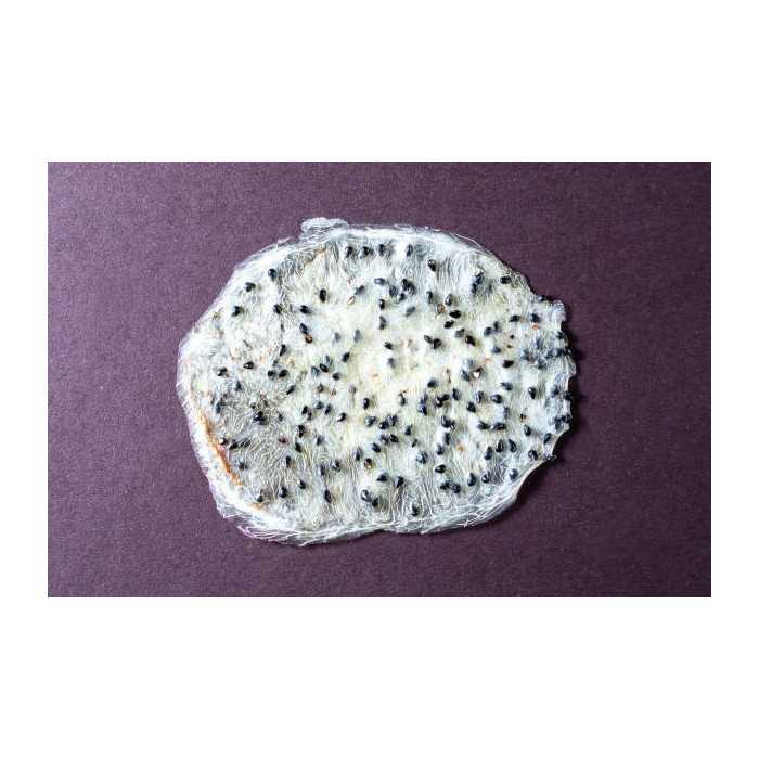 Organic & fairtrade dried white dragon fruit or pitaya from Colombia