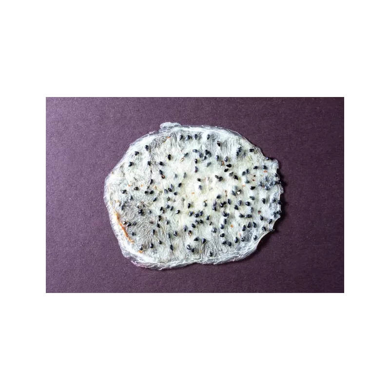Organic & fairtrade dried white dragon fruit or pitaya from Colombia