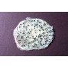Organic & fairtrade dried white dragon fruit or pitaya from Colombia
