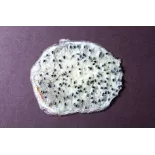 Organic & fairtrade dried white dragon fruit or pitaya from Colombia