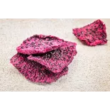Organic Dried Red Dragon Fruit or Dried Organic Red Pitaya from Vie...