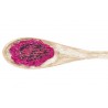 Organic Dried Red Dragon Fruit or Dried Organic Red Pitaya from Vie...