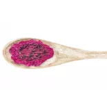 Organic Dried Red Dragon Fruit or Dried Organic Red Pitaya from Vie...