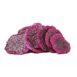Organic Dried Red Dragon Fruit or Dried Organic Red Pitaya from Vie...